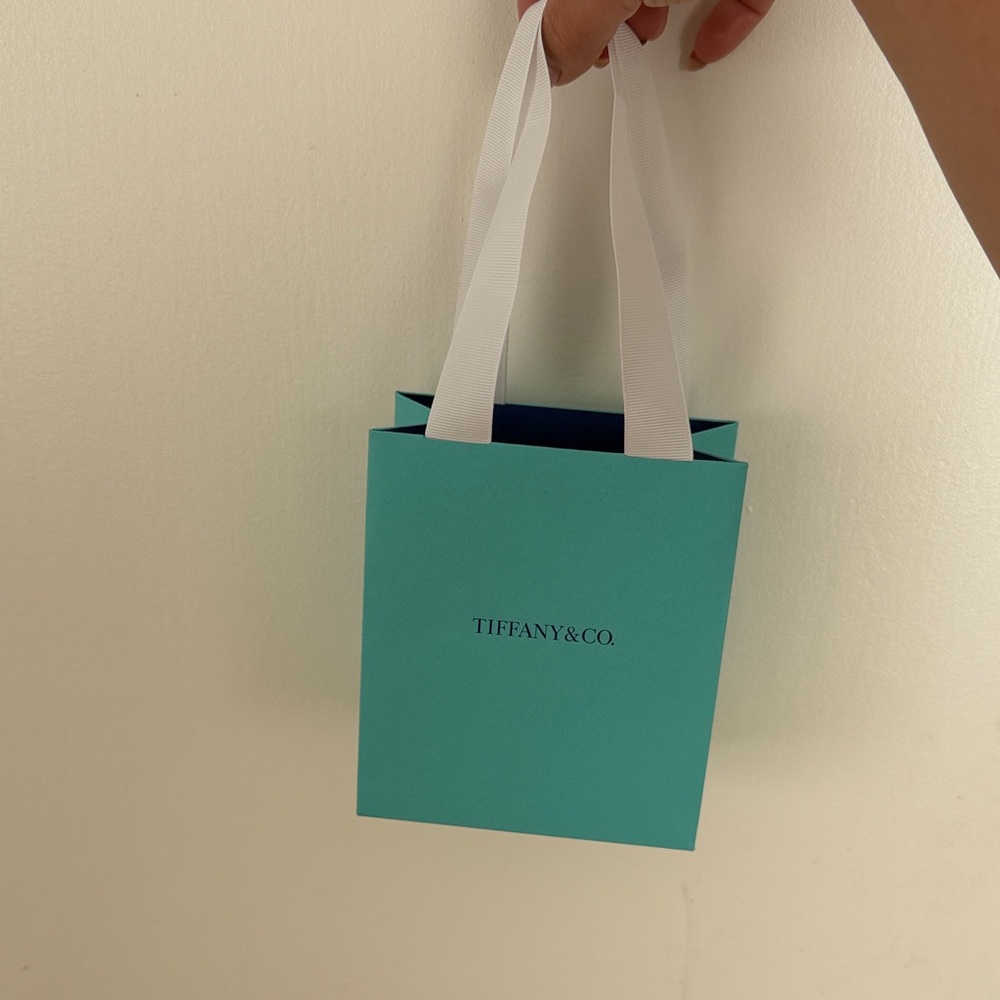 Tiffany & Co. shopping bag
